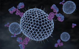 herpes virus and antibodies