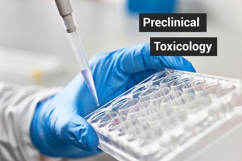 3 Challenging Complexities of Preclinical Toxicology Studies | VxP ...