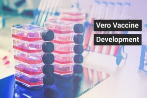 Vero Vaccine Development VxP Biologics